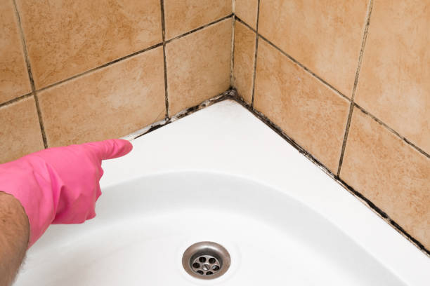 Best HVAC Mold Remediation in Yankton, SD